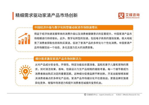 2024年中國(guó)家清產(chǎn)品消費(fèi)趨勢(shì)洞察與知識(shí)產(chǎn)權(quán)保護(hù)